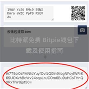 比特派免费 Bitpie钱包下载及使用指南