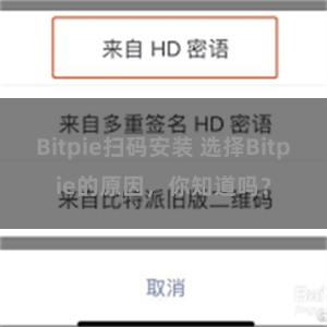 Bitpie扫码安装 选择Bitpie的原因，你知道吗？