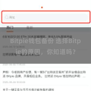 Bitpie钱包备份 选择Bitpie的原因，你知道吗？