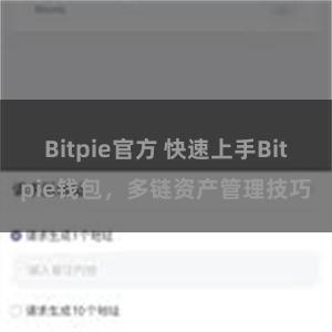 Bitpie官方 快速上手Bitpie钱包，多链资产管理技巧