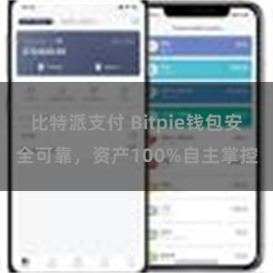 比特派支付 Bitpie钱包安全可靠，资产100%自主掌控