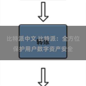 比特派中文 比特派：全方位保护用户数字资产安全