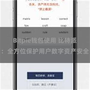 Bitpie钱包使用 比特派：全方位保护用户数字资产安全