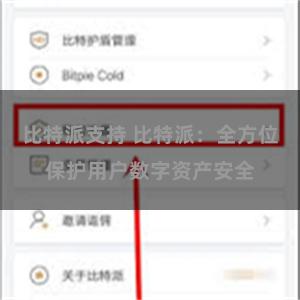 比特派支持 比特派：全方位保护用户数字资产安全