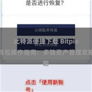 比特派便捷下载 Bitpie钱包操作指南：多链资产管理攻略