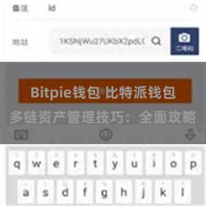 Bitpie钱包 比特派钱包多链资产管理技巧：全面攻略