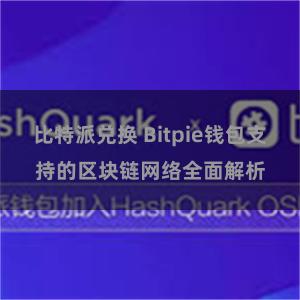 比特派兑换 Bitpie钱包支持的区块链网络全面解析