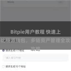Bitpie用户教程 快速上手比特派钱包，多链资产管理全攻略
