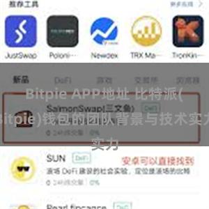 Bitpie APP地址 比特派(Bitpie)钱包的团队背景与技术实力