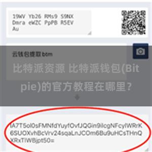 比特派资源 比特派钱包(Bitpie)的官方教程在哪里？