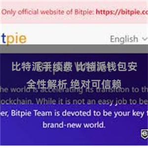 比特派手续费 比特派钱包安全性解析 绝对可信赖