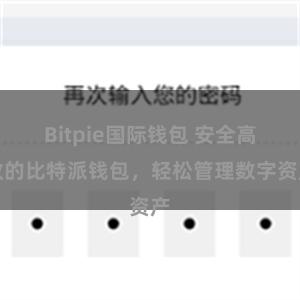 Bitpie国际钱包 安全高效的比特派钱包，轻松管理数字资产