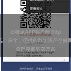 比特派APP客户端 Bitpie冷钱包：安全、便捷的数字资产存储解决方案