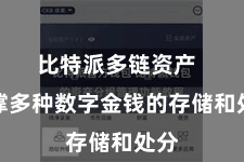 比特派多链资产  支撑多种数字金钱的存储和处分