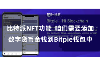 比特派NFT功能 咱们需要添加数字货币金钱到Bitpie钱包中