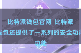 比特派钱包官网  比特派钱包还提供了一系列的安全功能