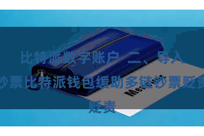 比特派数字账户 二、导入钞票比特派钱包缓助多链钞票贬责