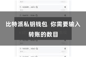 比特派私钥钱包  你需要输入转账的数目