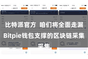 比特派官方  咱们将全面走漏Bitpie钱包支撑的区块链采集